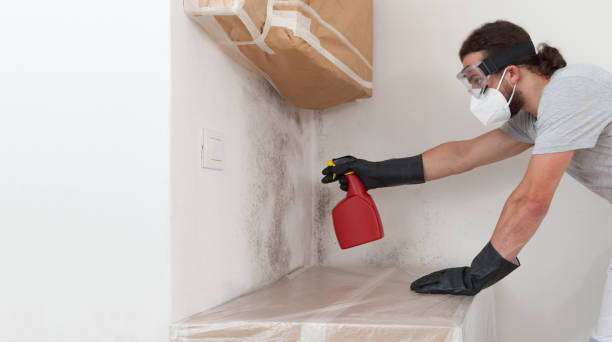 Professional Mold Inspection And Testing technician working in Milltown, NJ